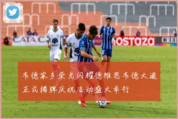 韦德家乡荣光闪耀德维恩韦德大道正式揭牌庆祝活动盛大举行