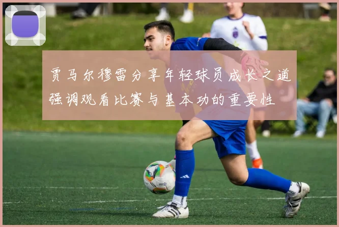 贾马尔穆雷分享年轻球员成长之道强调观看比赛与基本功的重要性